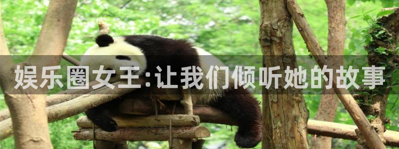 富邦娱乐