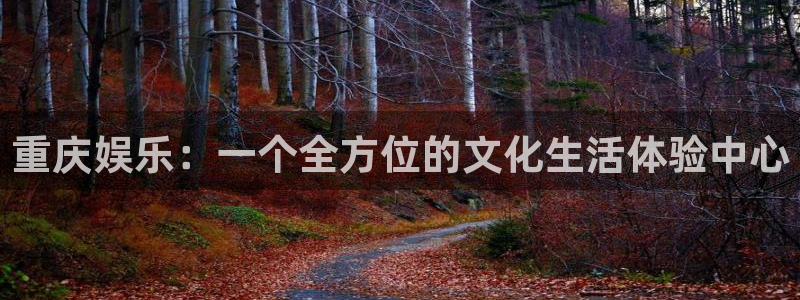富邦娱乐