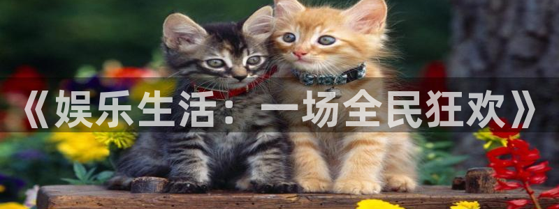 富邦娱乐