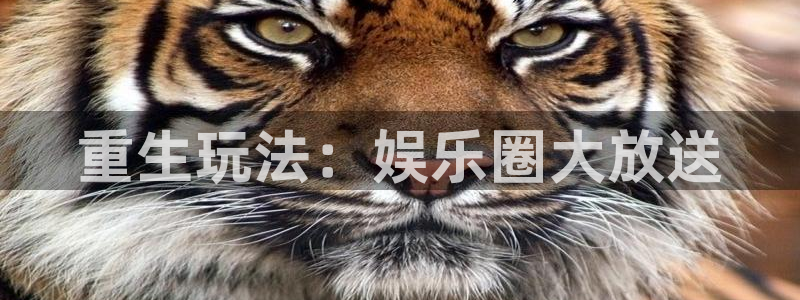富邦娱乐